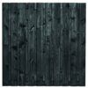 tuinscherm zwart 21-planks 180x180